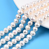 Natural Cultured Freshwater Pearl Beads Strands PEAR-N013-07J-1