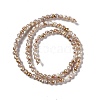 Drawbench Style Natural Freshwater Shell Beads Strands SHEL-F003-10A-3