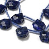 Natural Lapis Lazuli Beads Strands G-P544-C10-01-3