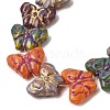 Painted Glass Beads Strands GLAA-Z021-03A-3