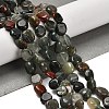 Natural African Bloodstone Beads Strands G-P497-01E-13-2