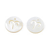 Natural Freshwater Shell Charms SHEL-N027-10F-3