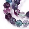 Natural Rainbow Fluorite Beads Strands G-T140-22A-4