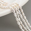 Natural Cultured Freshwater Pearl Beads Strands PEAR-P062-02C-2