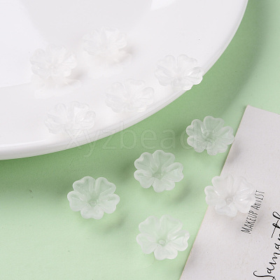 Transparent Frosted Acrylic Bead Caps MACR-S371-04A-701-1