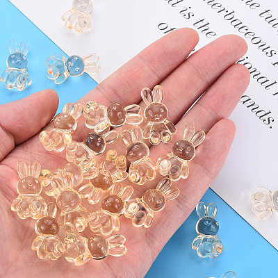 Transparent Acrylic Beads LS-MACR-S373-81-B04-1