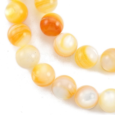 Natural Golden Yellow Shell Beads Strands SSHEL-G024-01E-1