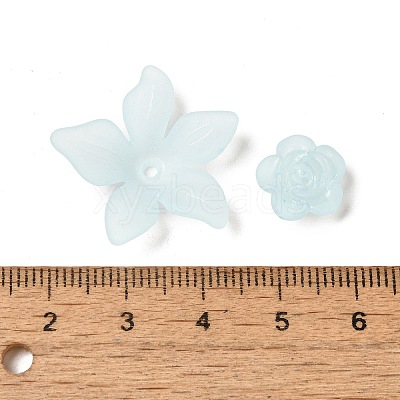 Frosted Transparent Acrylic Beads OACR-U006-03F-1