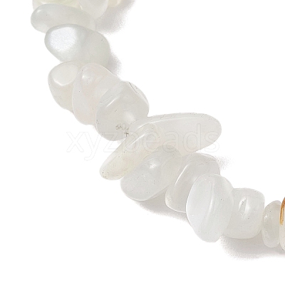 Natural White Moonstone Stretch Bracelets BJEW-JB11147-04-1