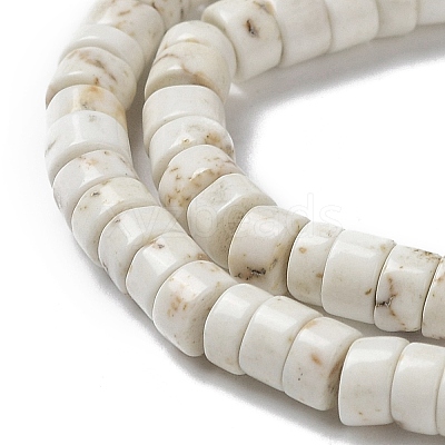 Natural Howlite Beads Strands G-E604-A01-B-1