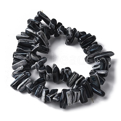 Dyed Natural Trochus Shell Beads Strands SSHEL-C013-09A-1
