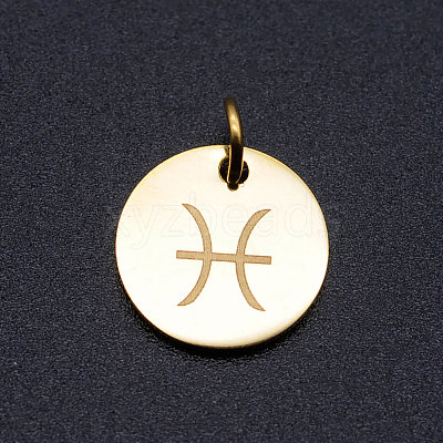 201 Stainless Steel Charms STAS-T049-T644-12G-1