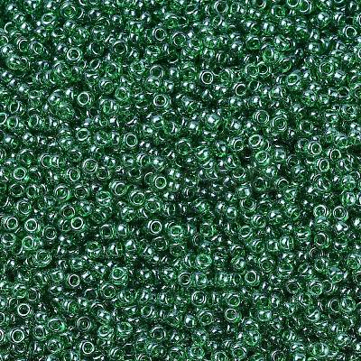 MIYUKI Round Rocailles Beads SEED-G007-RR0173-1
