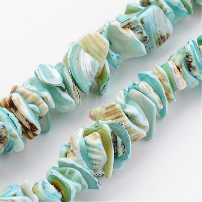 Natural Shell Bead Strands BSHE-P010-04-1