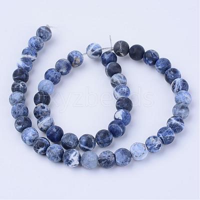 Natural Sodalite Beads Strands G-Q462-10mm-07-1