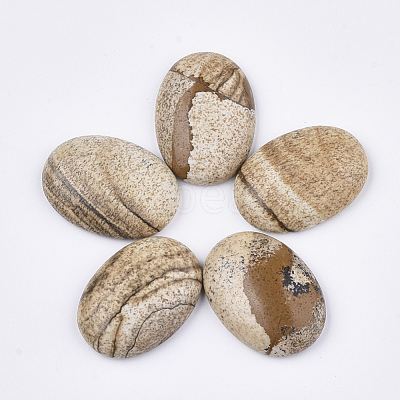 Natural Picture Jasper Cabochons X-G-S349-25A-01-1