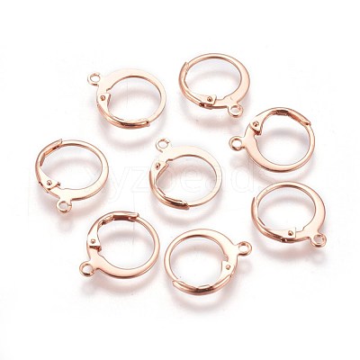 304 Stainless Steel Leverback Earring Findings X-STAS-E460-02RG-1