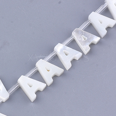 Sea Shell Beads X-SHEL-T012-60A-1