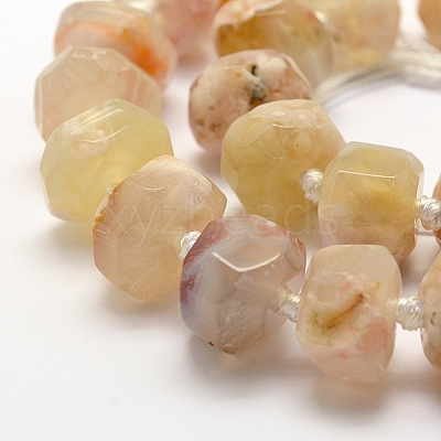 Natural Cherry Blossom Agate Beads Strands G-K195-04A-1