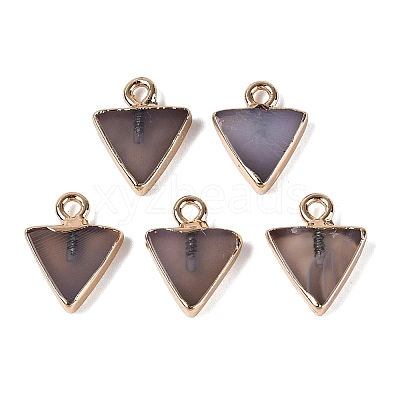 Natural Agate(Dyed & Heated) Pendants G-Q606-103G-06-1