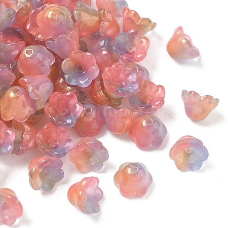 Transparent Glass Beads Caps X1-GLAA-B028-01B-1