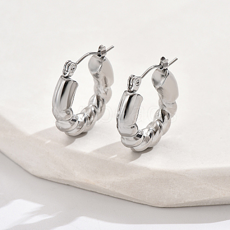 304 Stainless Steel Hoop Earrings PF4173-2-1