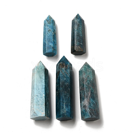 Natural Apatite Display Decoration G-E137-01C-1