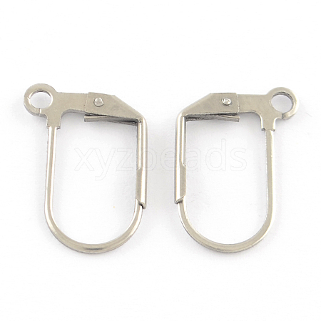 201 Stainless Steel Leverback Earrings Findings STAS-R064-44-1