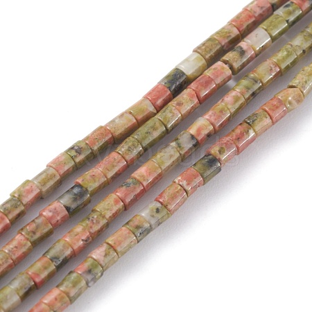 Natural Unakite Beads Strands G-H255-13-1