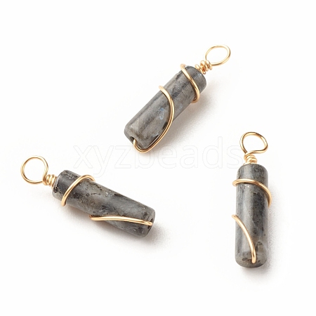 Natural Larvikite Pendants PALLOY-JF01453-05-1