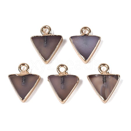 Natural Agate(Dyed & Heated) Pendants G-Q606-103G-06-1