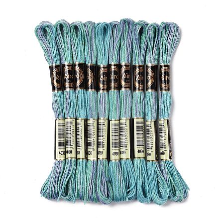 10 Skeins 6-Ply Polyester Embroidery Floss OCOR-K006-A30-1