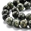 Natural Green Zebra Jasper Beads Strands G-L574-05B-3