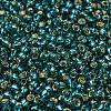 TOHO Round Seed Beads SEED-TR08-0027BD-2