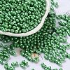 Glass Seed Beads SEED-L011-04A-01-1