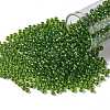 TOHO Round Seed Beads SEED-TR08-0306-1