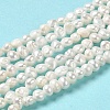 Natural Cultured Freshwater Pearl Beads Strands PEAR-E017-25-2