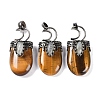 Natural Tiger Eye Pendants G-L524-17AS-08-1