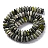 Natural Xinyi Jade/Chinese Southern Jade Beads Strands G-C171-A01-01-3