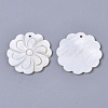 Natural Freshwater Shell Pendants SHEL-N026-30-2