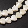 Natural Trochid Shell/Trochus Shell Beads Strands SSHEL-K012-04-3