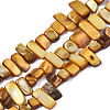 Natural Trochid Shell/Trochus Shell Beads Strands SHEL-S258-082-B09-1