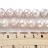 Natural Cultured Freshwater Pearl Beads Strands PEAR-C003-21E-5