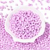 Opaque Baking Paint Glass Seed Beads SEED-T008-02S-2