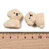Silicone Focal Beads SL-CBA43AB-01A-2
