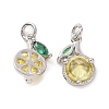 Brass Micro Pave Cubic Zirconia Charms ZIRC-G169-03P-1