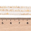 Natural Freshwater Shell Beads Strands SHEL-T011-02-4mm-4