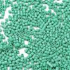 Baking Paint Glass Seed Beads X-SEED-S042-05B-60-3