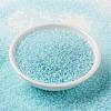 MIYUKI Round Rocailles Beads X-SEED-G009-RR0636-2