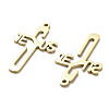 304 Stainless Steel Pendants STAS-B054-03G-2